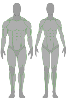 1 Fit