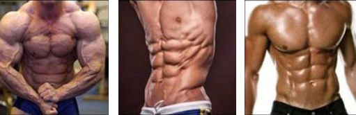 Male Lean