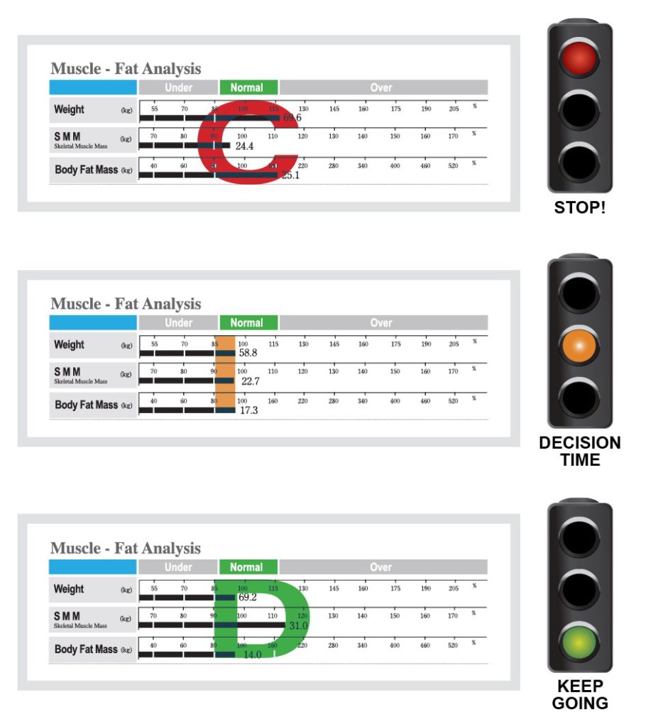 InBody 570 Scan Interpretation Guide