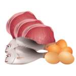 Protein