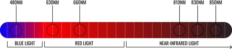 imgsArtboard 4a6c1f36 c867 4077 8088 2552cb241907 1500x350