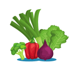 Veg